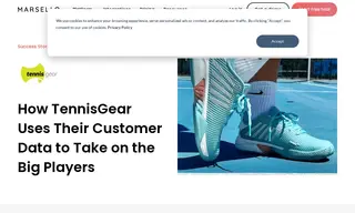 Preview of the TennisGear Case Study