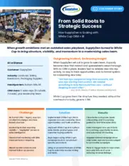 Preview of the SupplyDen Case Study