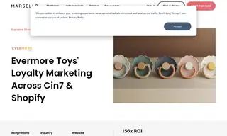 Preview of the Evermore Toys Case Study