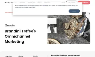 Preview of the Brandini Toffee Case Study
