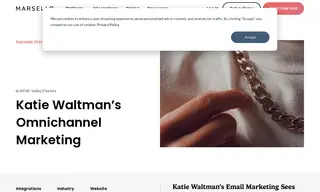 Preview of the KatieWaltman.com Case Study