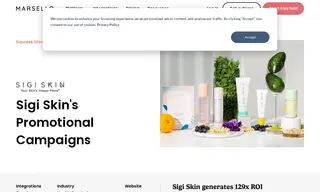 Preview of the Sigi Skin Case Study