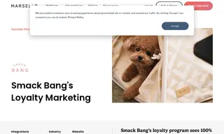 Preview of the Smack Bang Case Study