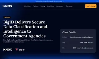 Preview of the BigID Case Study