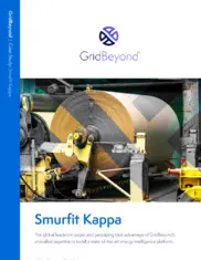 Preview of the Smurfit Kappa Case Study