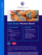 Preview of the Western Brand Case Study