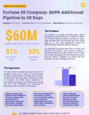 Preview of the Fortune 20 Company Case Study