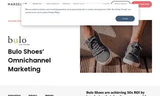 Preview of the Bulo Shoes Case Study