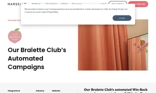Preview of the Our Bralette Club Case Study