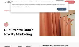 Preview of the Our Bralette Club Case Study