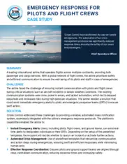 Preview of the Leading International Airline Case Study