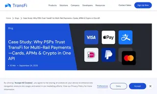 Preview of the Large Payment Service Provider Case Study