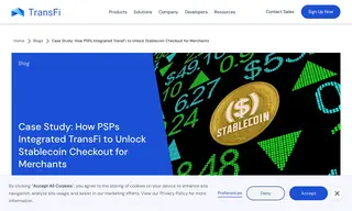 Preview of the Large Payment Service Provider Case Study