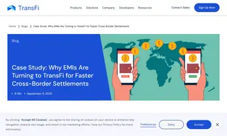 Preview of the Electronic Money Institutions Case Study