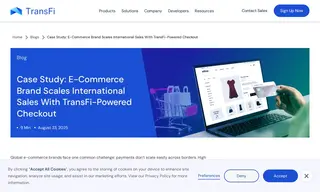 Preview of the Global e-Commerce Brand Case Study
