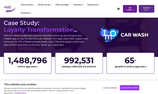 Preview of the IMO Car Wash Case Study