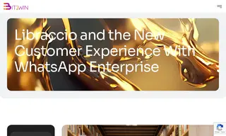 Preview of the Libraccio Case Study