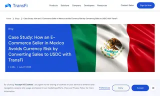 Preview of the Mexican E-Commerce Seller Case Study