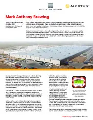 Preview of the Mark Anthony Brewing Case Study