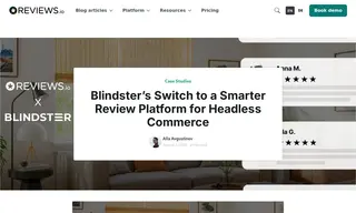 Preview of the Blindster Case Study