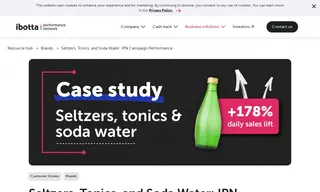 Preview of the Seltzers, Tonics, and Soda Water Brand Case Study