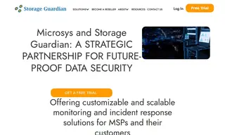 Preview of the Microsys Inc. Case Study