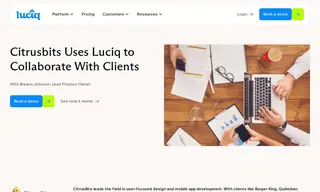 Preview of the CitrusBits Case Study