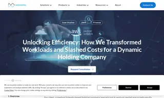 Preview of the Dynamic Holding Company Case Study