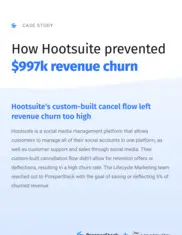Preview of the Hootsuite Case Study