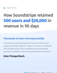 Preview of the Soundstripe Case Study