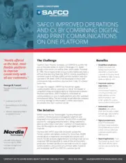 Preview of the Southern Auto Finance Company, LLC Case Study