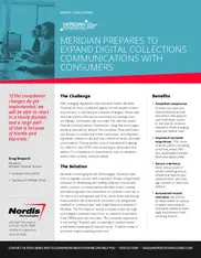 Preview of the Meridian Financial Services Case Study