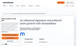 Preview of the Zoom Case Study
