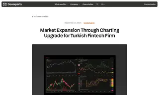 Preview of the Turkish Fintech Firm Case Study