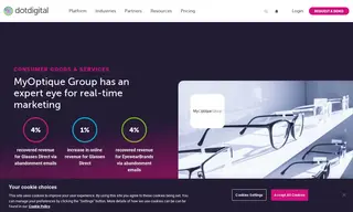 Preview of the MyOptique Group Case Study
