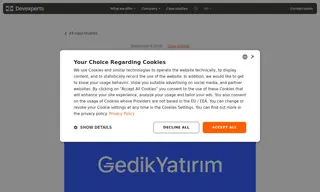 Preview of the Gedik Investment Case Study