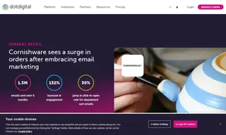 Preview of the Cornishware Case Study