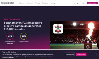 Preview of the Southampton F.C. Case Study