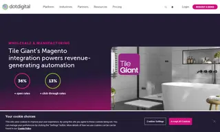 Preview of the Tile Giant Case Study
