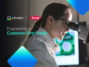 Preview of the Dow Chemical Company Case Study