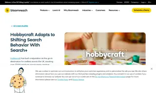 Preview of the Hobbycraft Case Study