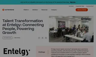 Preview of the Entelgy Case Study