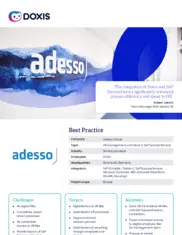 Preview of the Adesso Group Case Study