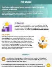 Preview of the Pet Store Chain Case Study