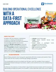 Preview of the American Multinational Company Case Study