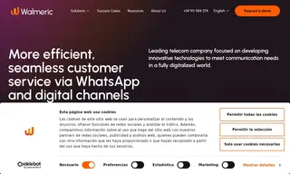 Preview of the Leading Telecom Company Case Study