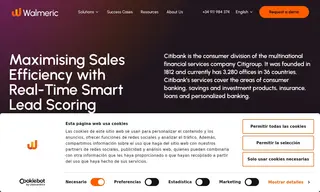 Preview of the Citibank Case Study