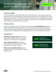 Preview of the Large Insurance Company Case Study