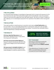 Preview of the Large Financial Company Case Study