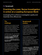 Preview of the Leading European Bank Case Study